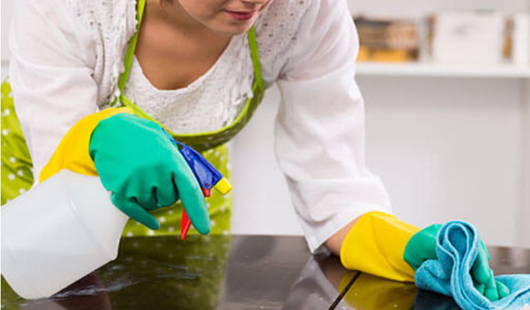Ev Temizliği